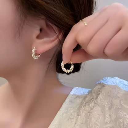 💎 Sublimez votre style avec élégance avec ces boucles d'oreilles en argent S925 ! 💎
